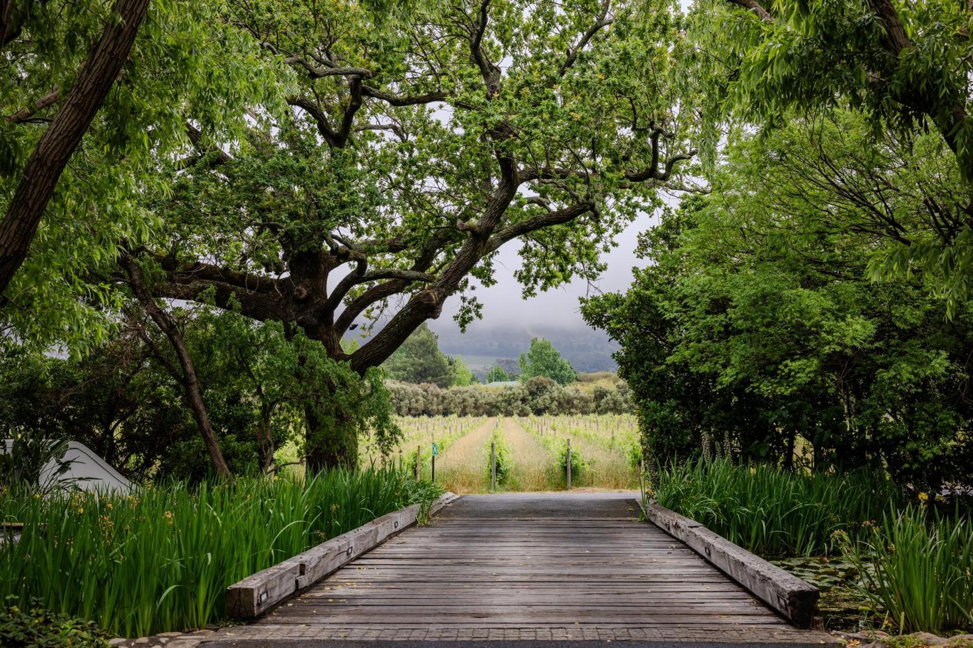 Grande Provence Hotel Franschhoek Exterior foto